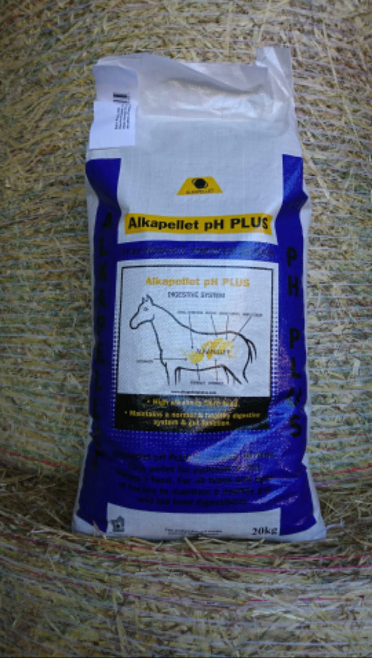 Alkapellet pH Plus 20kg