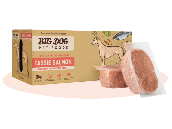 Big Dog Tasmanian Salmon Raw Dog Food 3kg