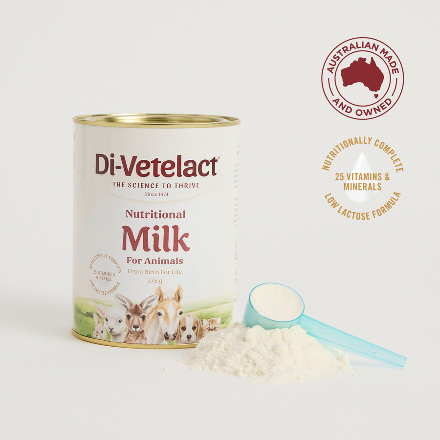 Di-Vetelact Nutritional Milk for Animals