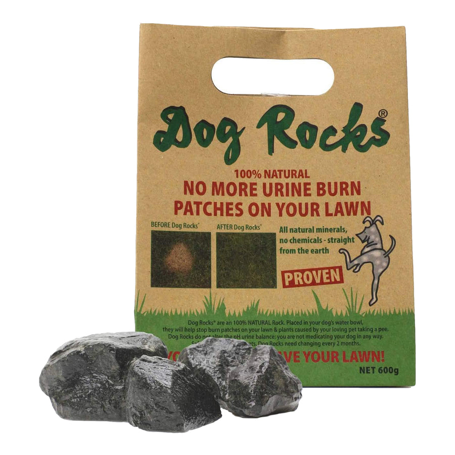 Dog Rocks
