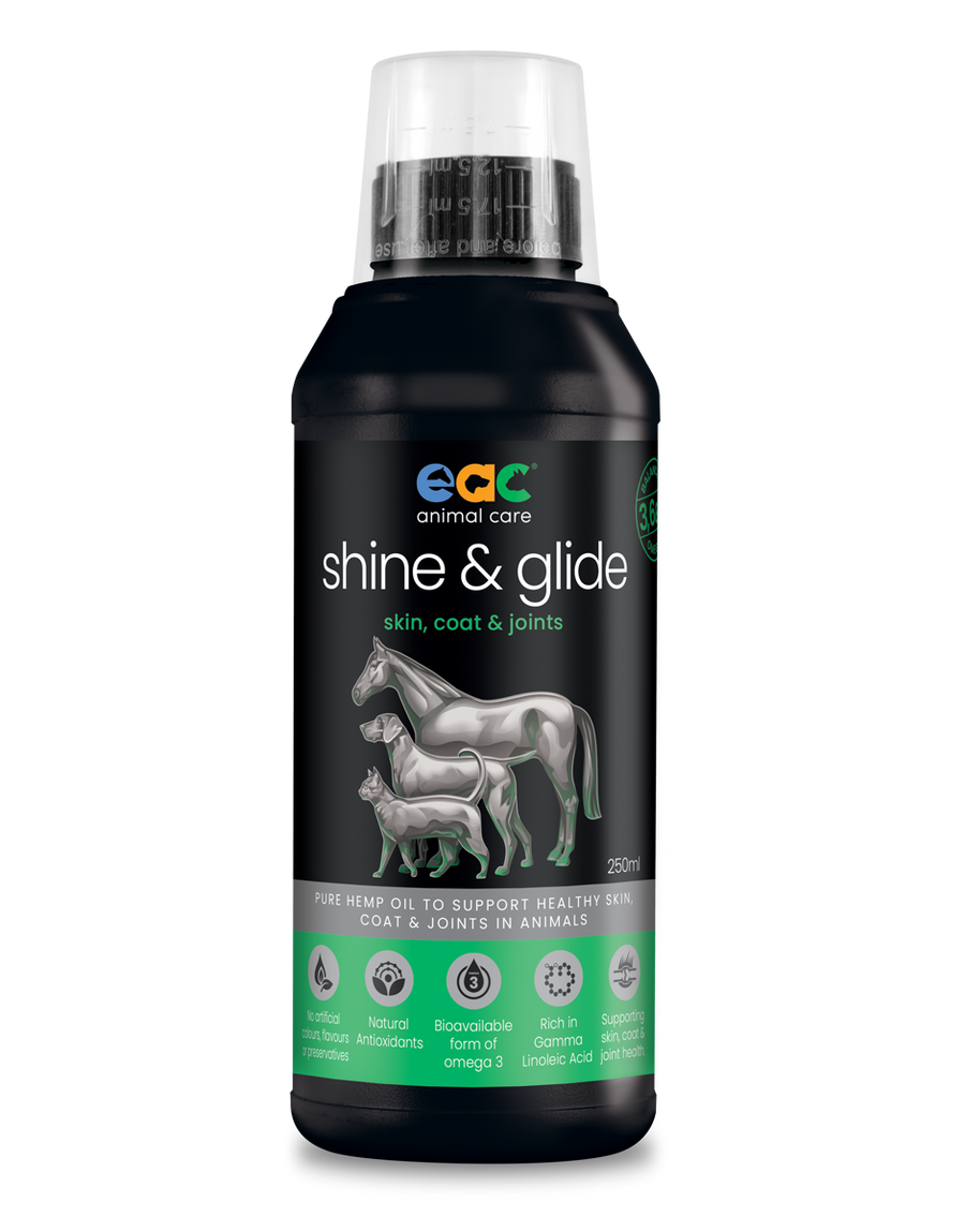 EAC Shine & Glide Pure Hemp Oil