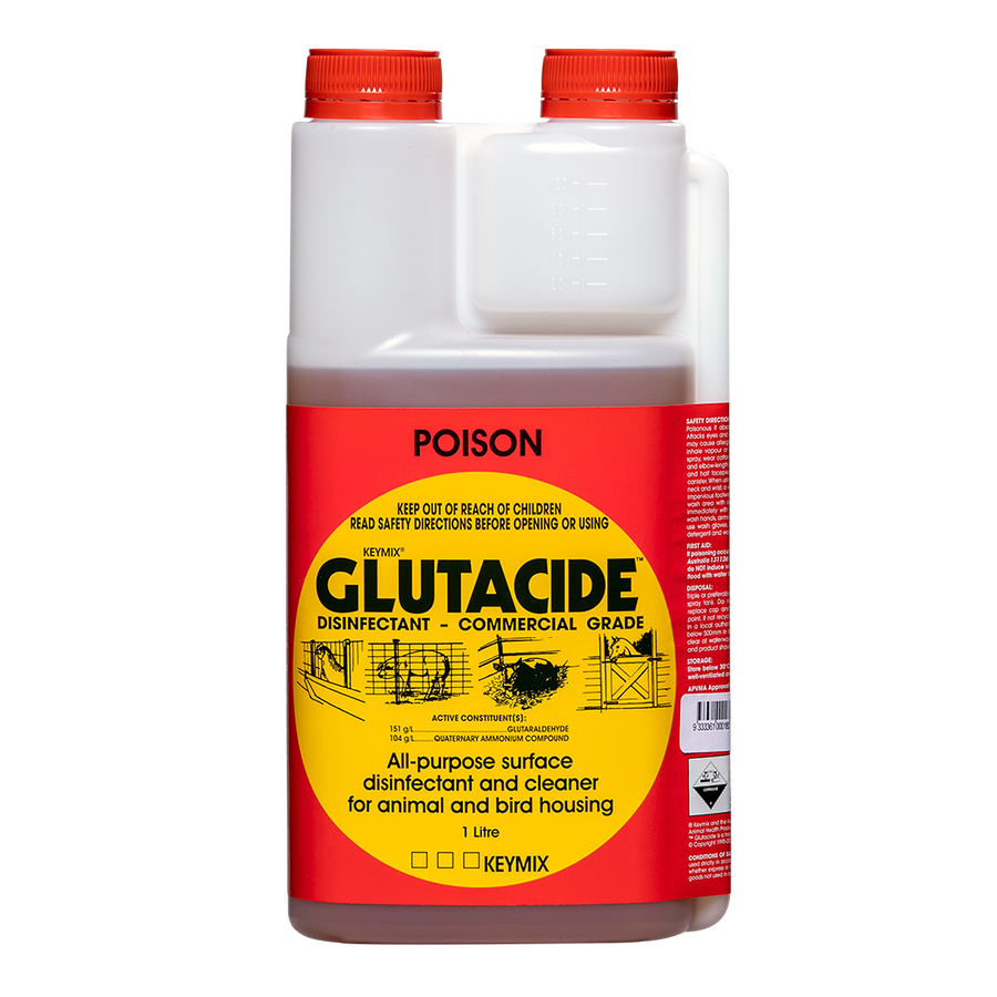 IAH Glutacide