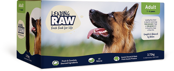 Leading Raw Adult Frozen Dog Food 2.72kg