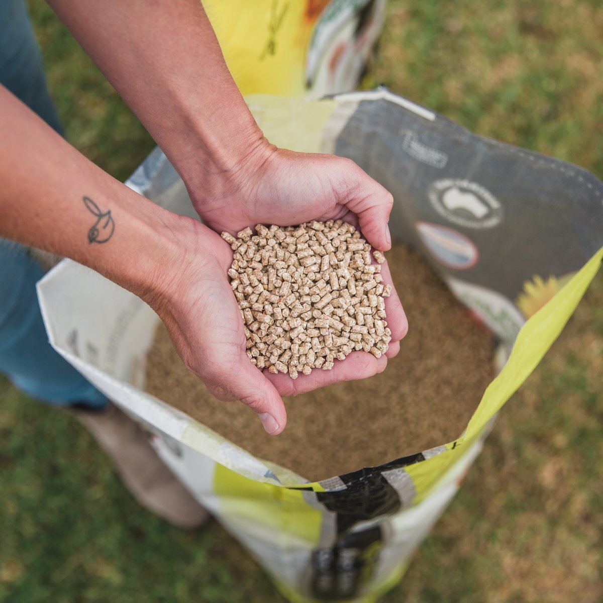 Poultry Feed