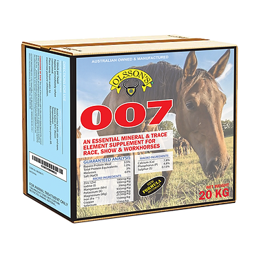 Olssons 007 Mineral Horse Block