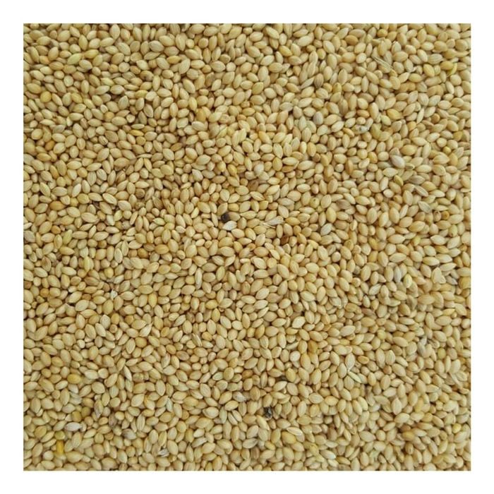 Green Valley Pannicum Millet 20kg