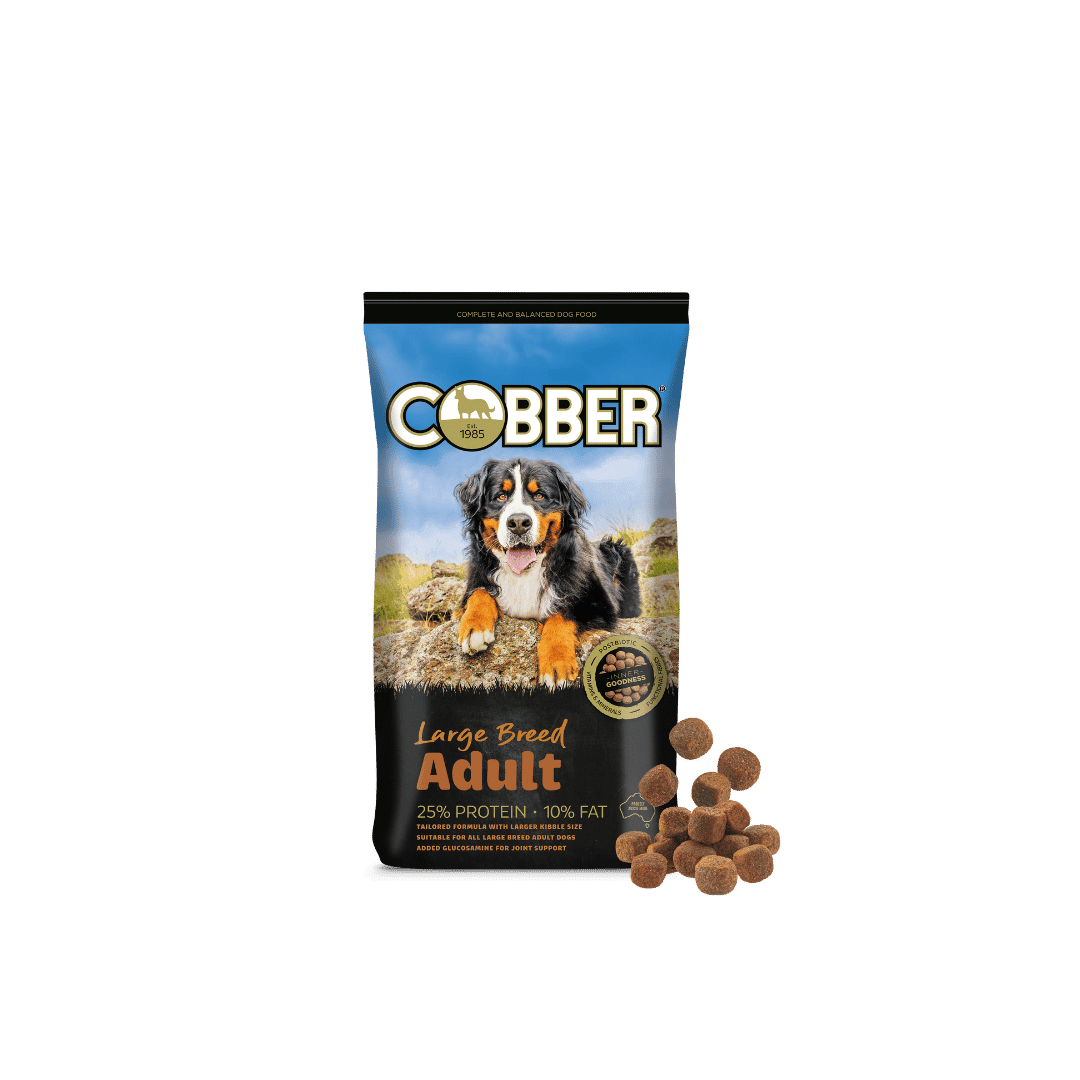Cobber Premium Large Breed 20kg dog food bag