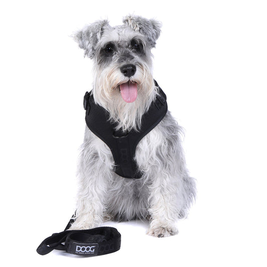 DOOG Neosport Harness in black