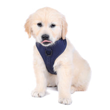 DOOG Neosport Harness in navy