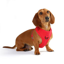 DOOG Neosport Harness in red