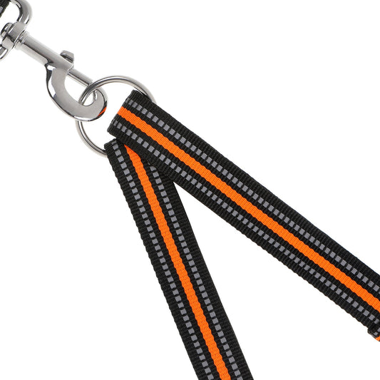 DOOG Dual Leash in Beethoven design