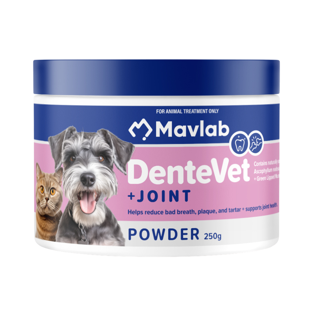 MAVLAB DenteVet Plus Joint Powder 250g