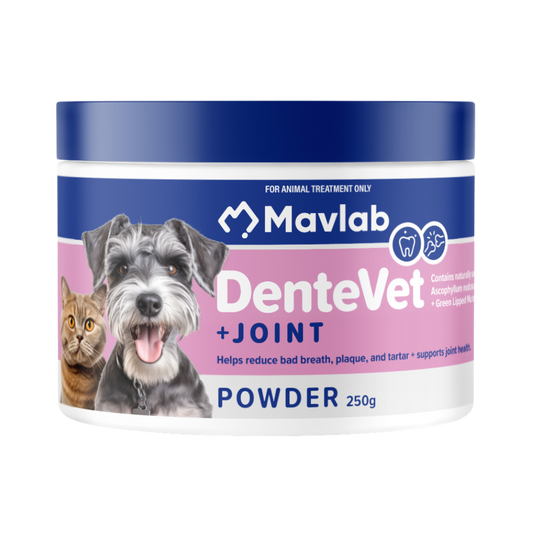 MAVLAB DenteVet Plus Joint Powder 250g