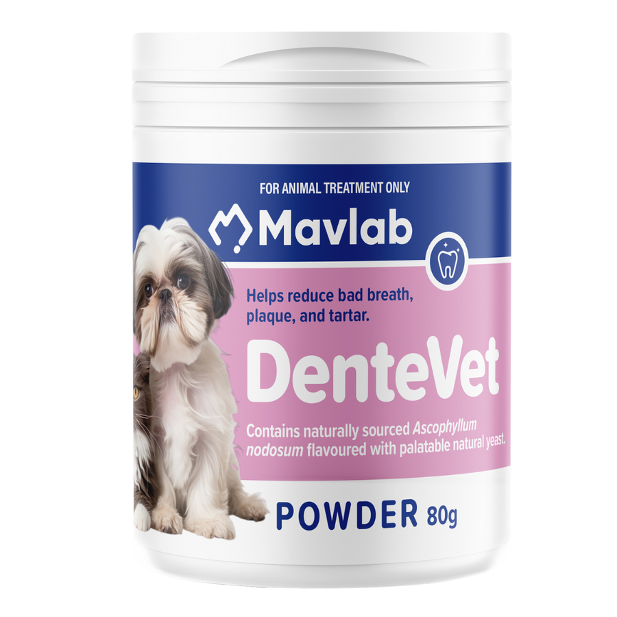 MAVLAB DenteVet Powder 80g