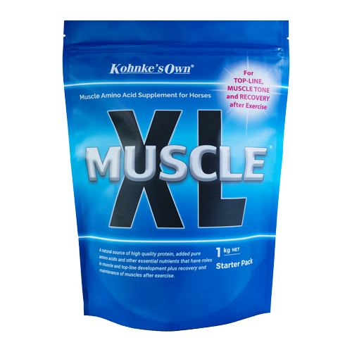 Kohnke's Own Muscle XL