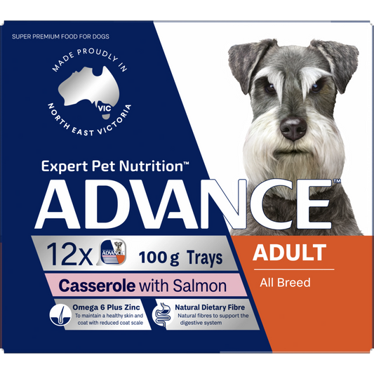 ADVANCE Adult All Breed Salmon Casserole Trays 12x100g