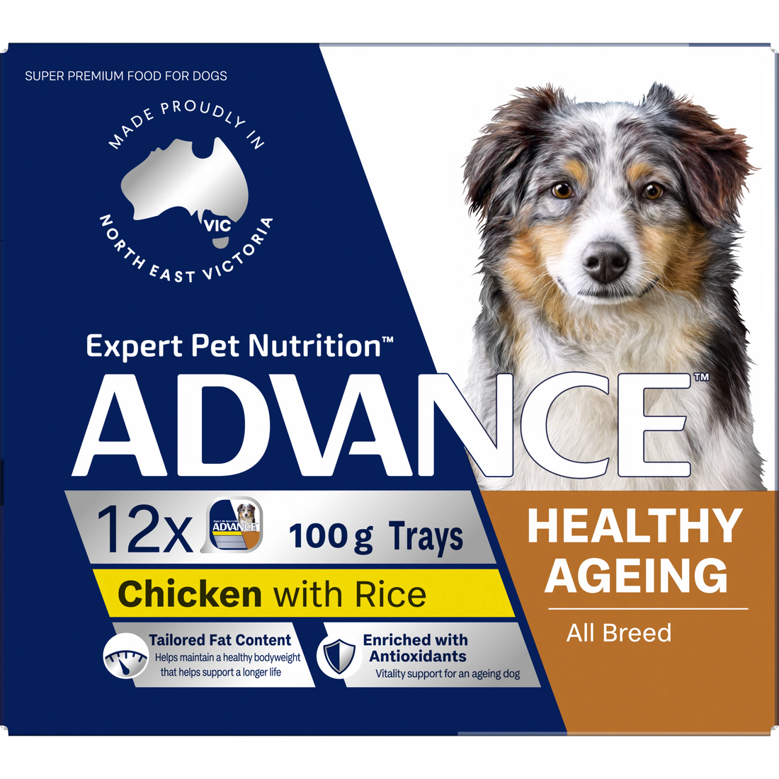 ADVANCE Healthy Ageing Adult All Breed Chicken with Rice Trays 12x100g
