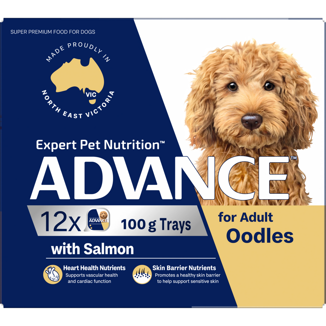 ADVANCE Oodles Adult with Salmon Trays 12x100g