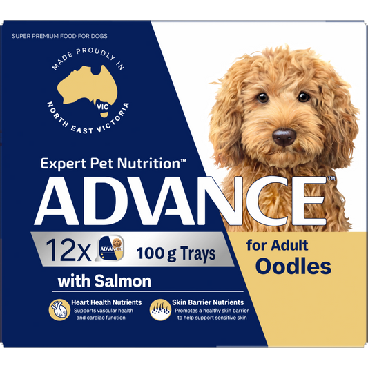 ADVANCE Oodles Adult with Salmon Trays 12x100g