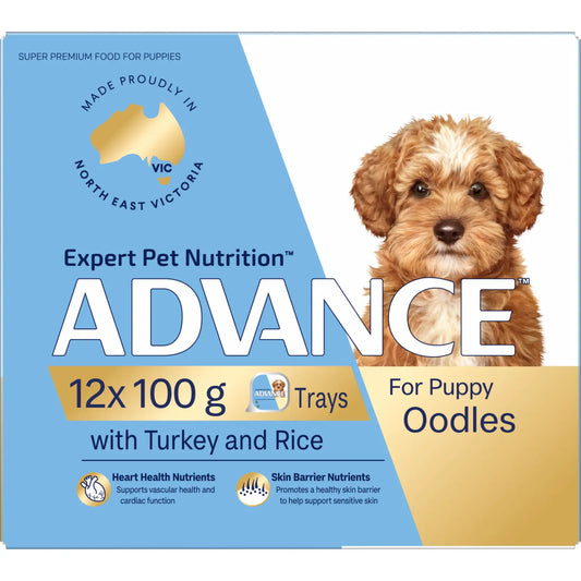 ADVANCE Puppy Oodles Wet Dog Food with Turkey and Rice 12x100g