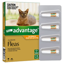 ADVANTAGE flea treatment for kittens and small cats up to 4kg, 4 pack