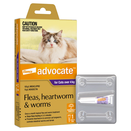 Advocate Spot-On for cats over 4kg, 1 dose