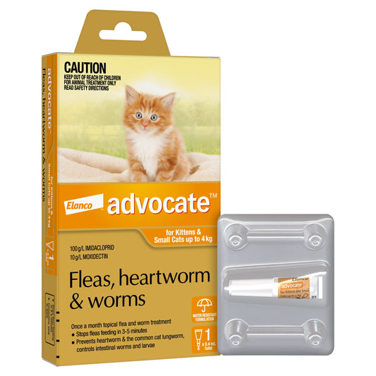 Advocate Spot-On for kittens and small cats up to 4kg, 1 dose
