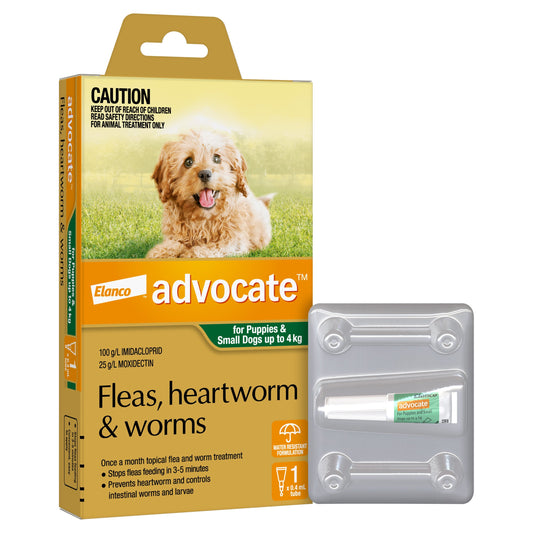 Advocate Spot-On for puppies and small dogs up to 4kg, 1 dose