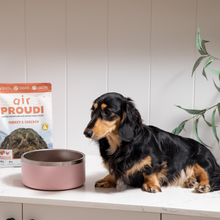 AIR PROUDI Turkey and Chicken Dog Food details