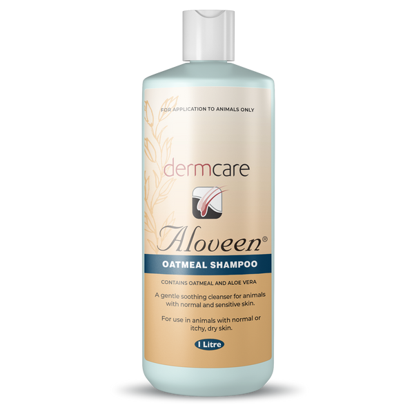Dermcare Aloveen Oatmeal Shampoo