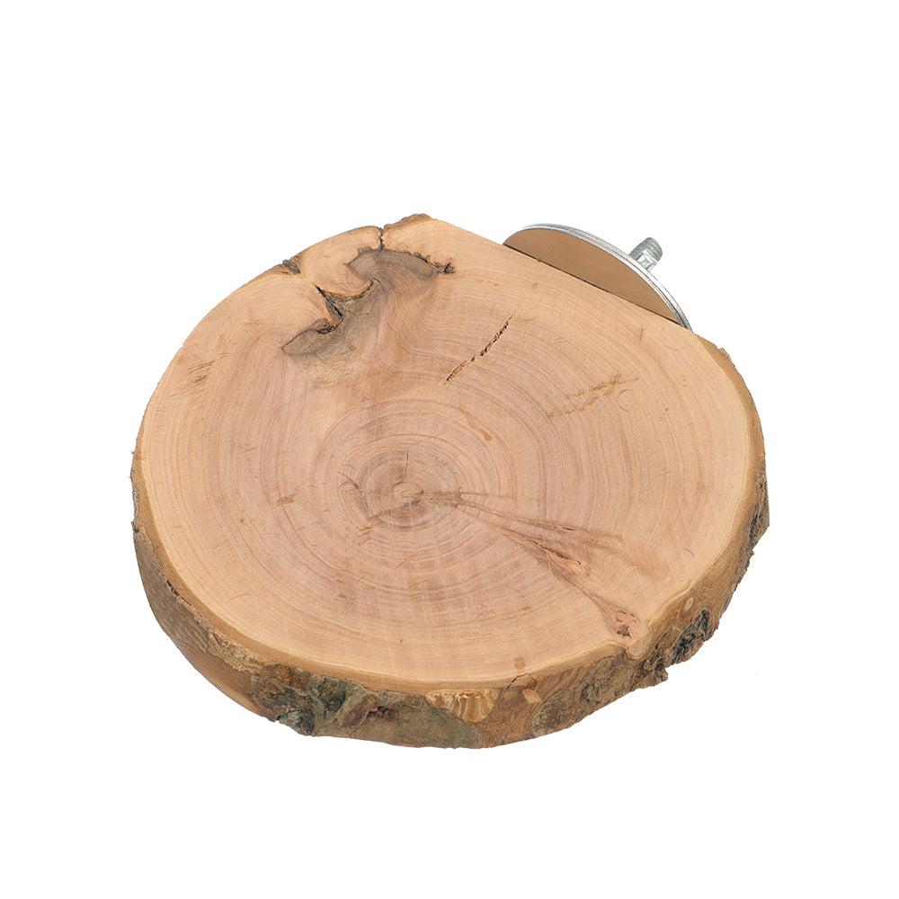 Beak Joy Birdie Apple Wood Platform Medium