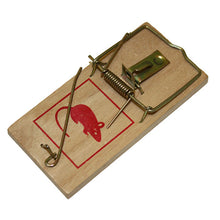 Bainbridge Wood Rodent Snap Traps – Rat – 1 Pack
