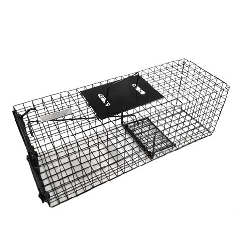 Bainbridge Black Wire Cage Animal Traps – Medium