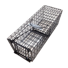 Bainbridge Black Wire Cage Animal Traps – Small