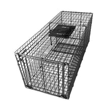 Bainbridge Black Wire Cage Animal Traps – Large