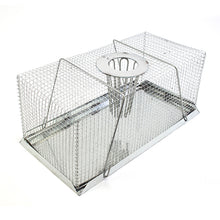 Bainbridge Top Entry Live-Capture Mouse Traps – Large