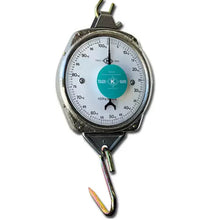 Bainbridge Hanging Scales – 100kg