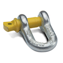Bainbridge D Shackles – 13mm