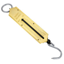 Bainbridge Balance Spring Scales – 50kg