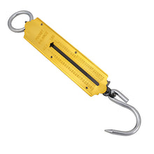 Bainbridge Balance Spring Scales – 100kg