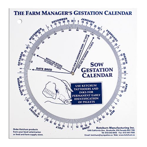 Bainbridge Gestation Calendar - Sow