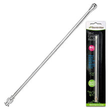 Bainbridge Bird Crop Needle A8332