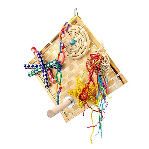Bainbridge Bird Net Destructive Wall - Fiesta with Perch