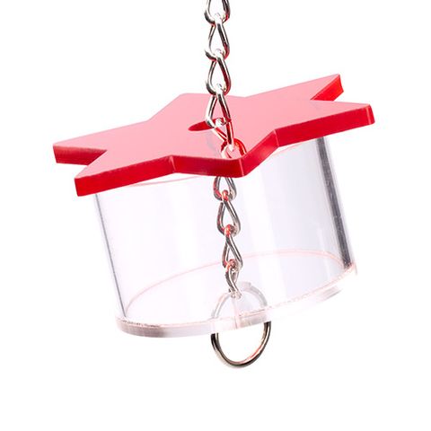 Bainbridge Bird Toy - Interactive - Foraging Star Forager