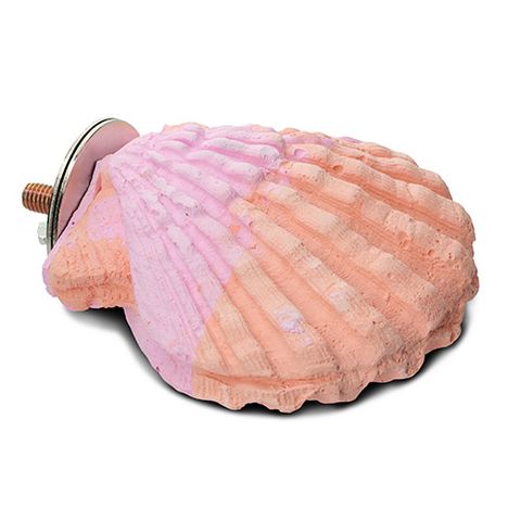 Bainbridge Bird Perch – Calcium Clam Parrot Shell