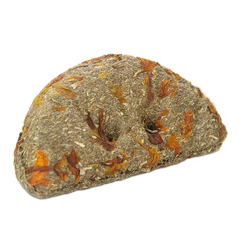 Bainbridge Timothy Orange Slice - One Size