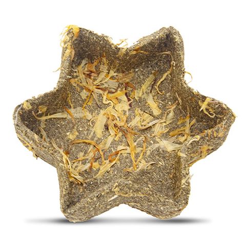 Bainbridge Timothy Star Dish - One Size