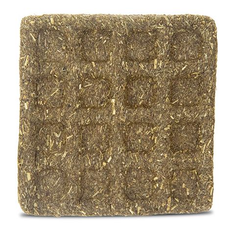 Bainbridge Timothy Waffle - One Size