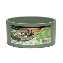 Bainbridge weighted round small animal feeder bowl - green