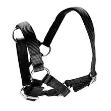 Bainbridge Alpaca Halter - Black